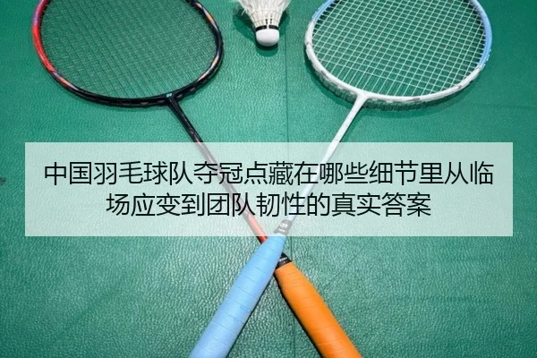 中国羽毛球队夺冠点藏在哪些细节里从临场应变到团队韧性的真实答案